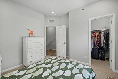 6998 Ipswich Court Castle Pines CO 80108