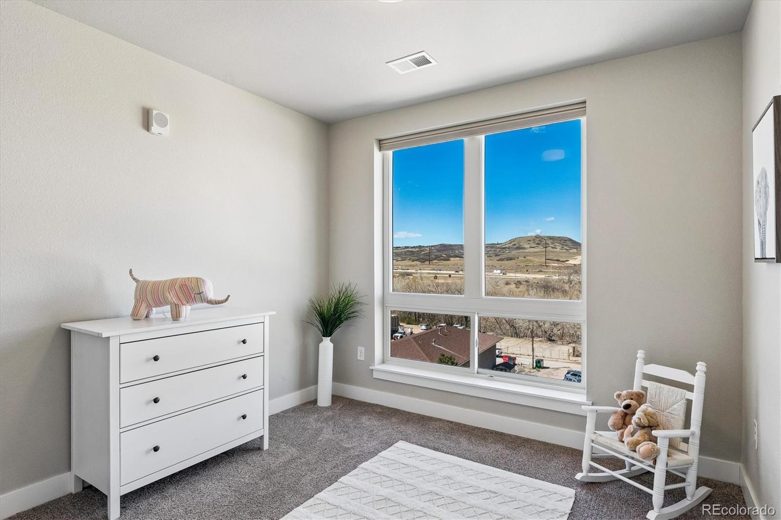 20 Wilcox Street Castle Rock CO 80104