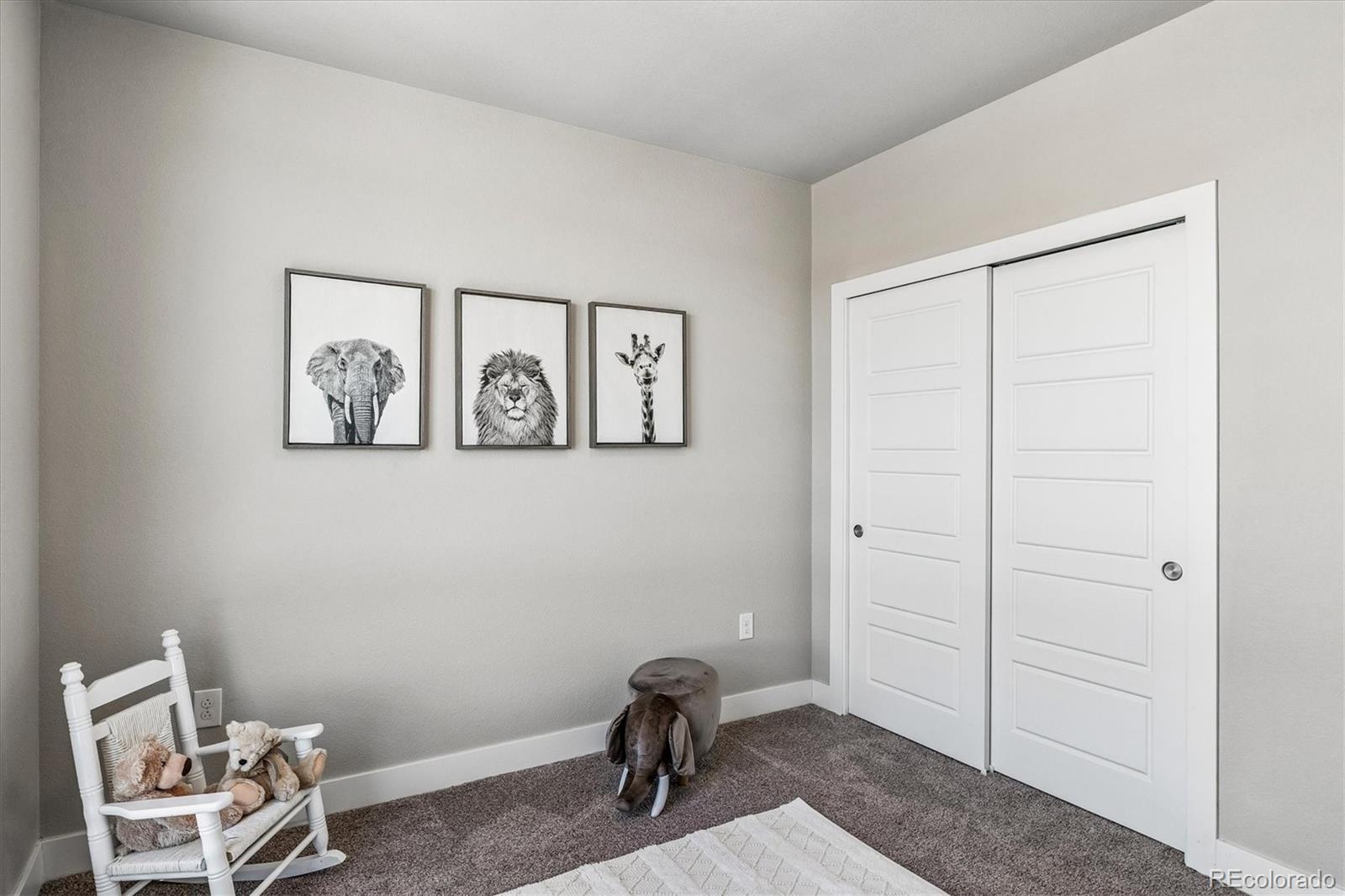 20 Wilcox Street Castle Rock CO 80104