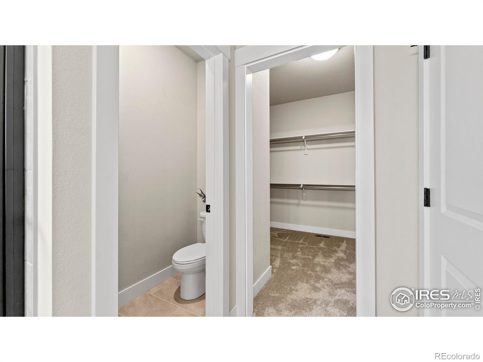 6233 Vernazza Way Windsor CO 80550