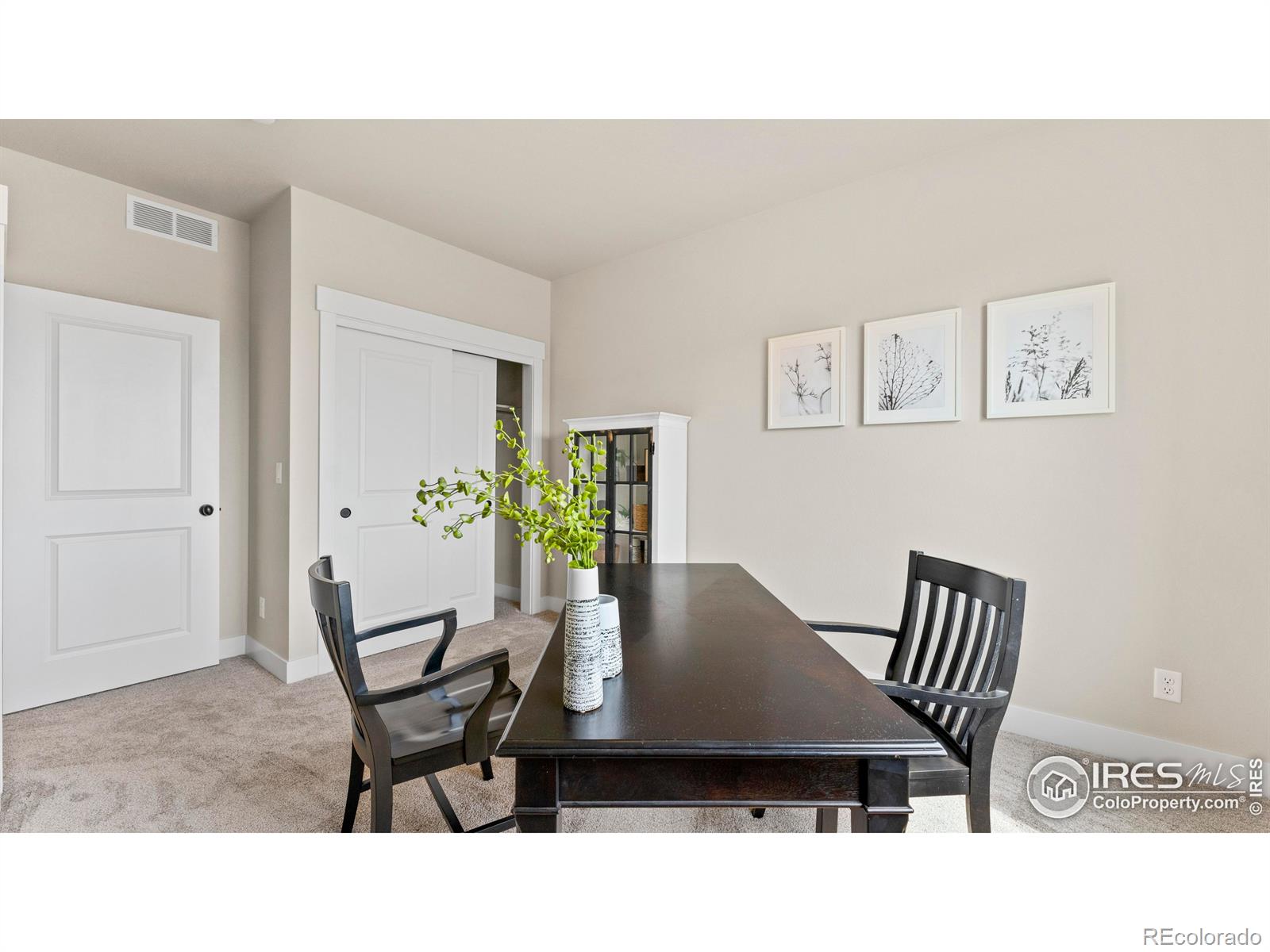 6233 Vernazza Way Windsor CO 80550