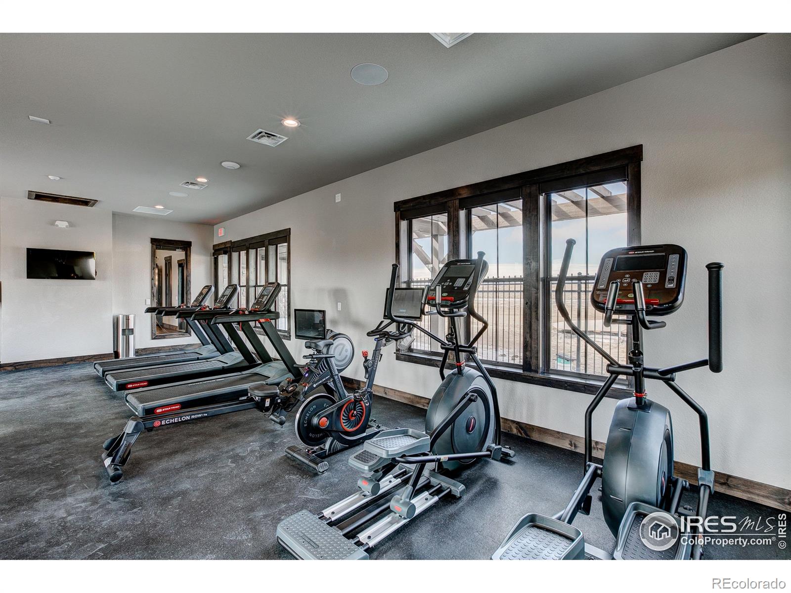 6233 Vernazza Way Windsor CO 80550