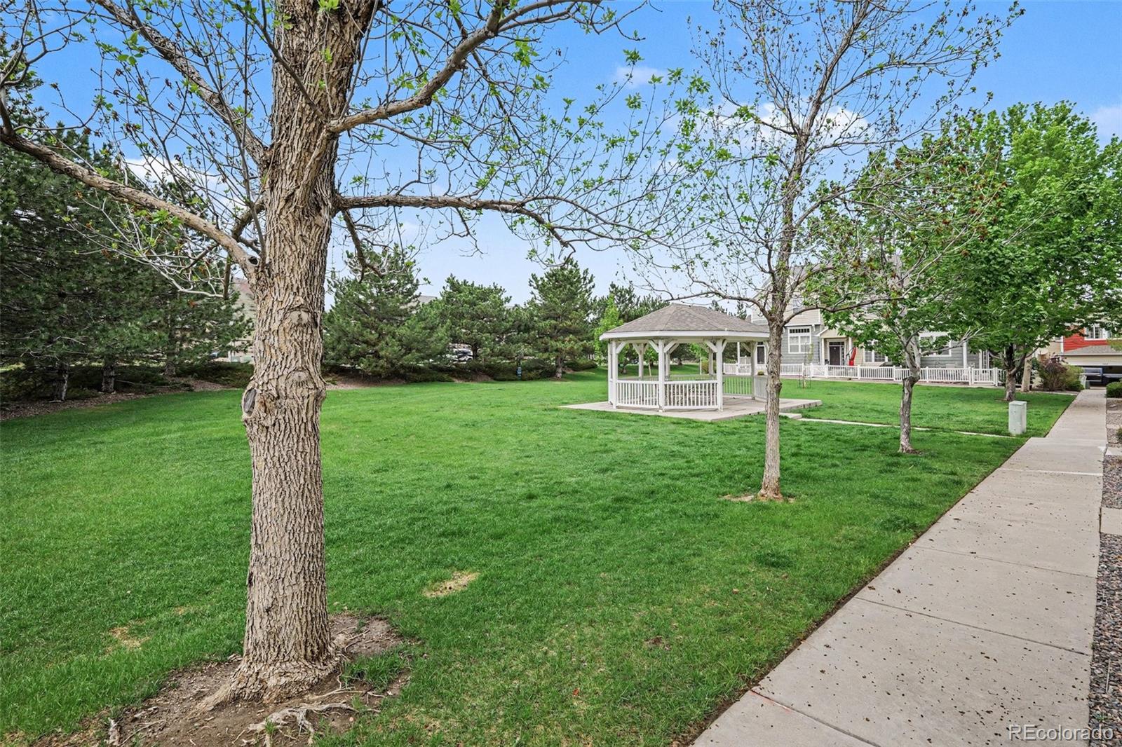 1459 Thunder Butte Road Castle Rock CO 80109