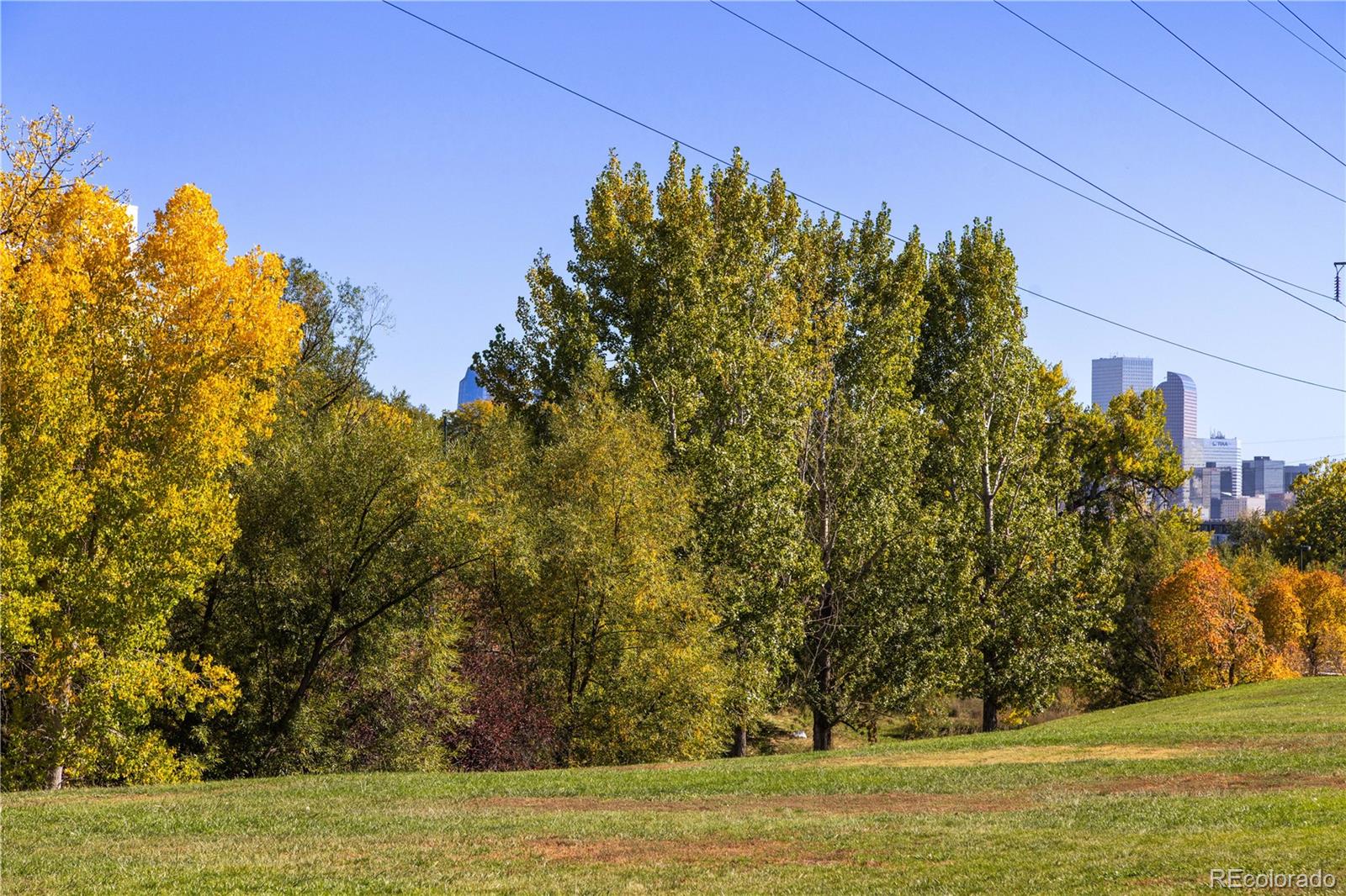 1181 Lowell Avenue Denver CO 80204