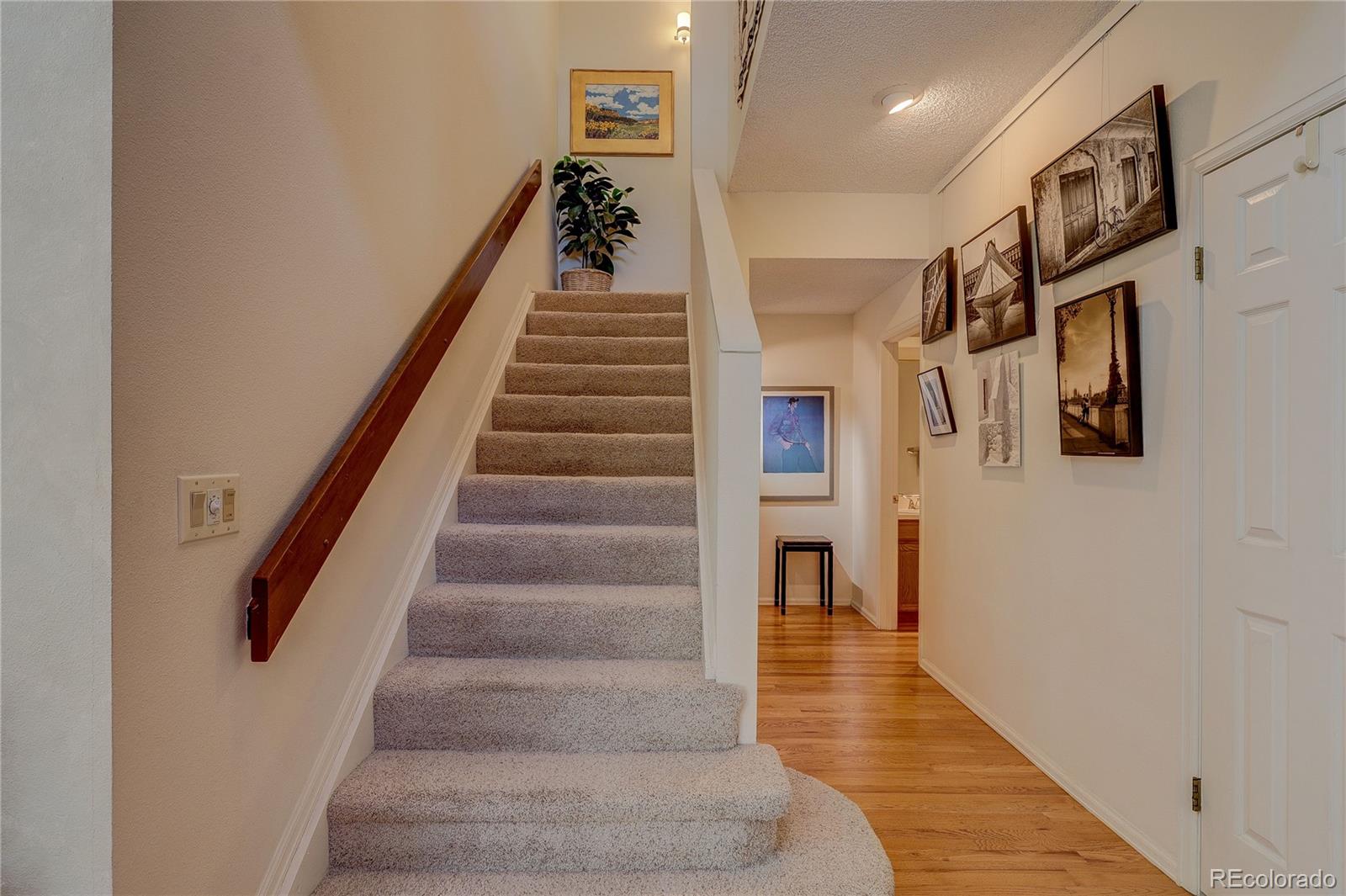 8849 Blue Mountain Place Highlands Ranch CO 80126