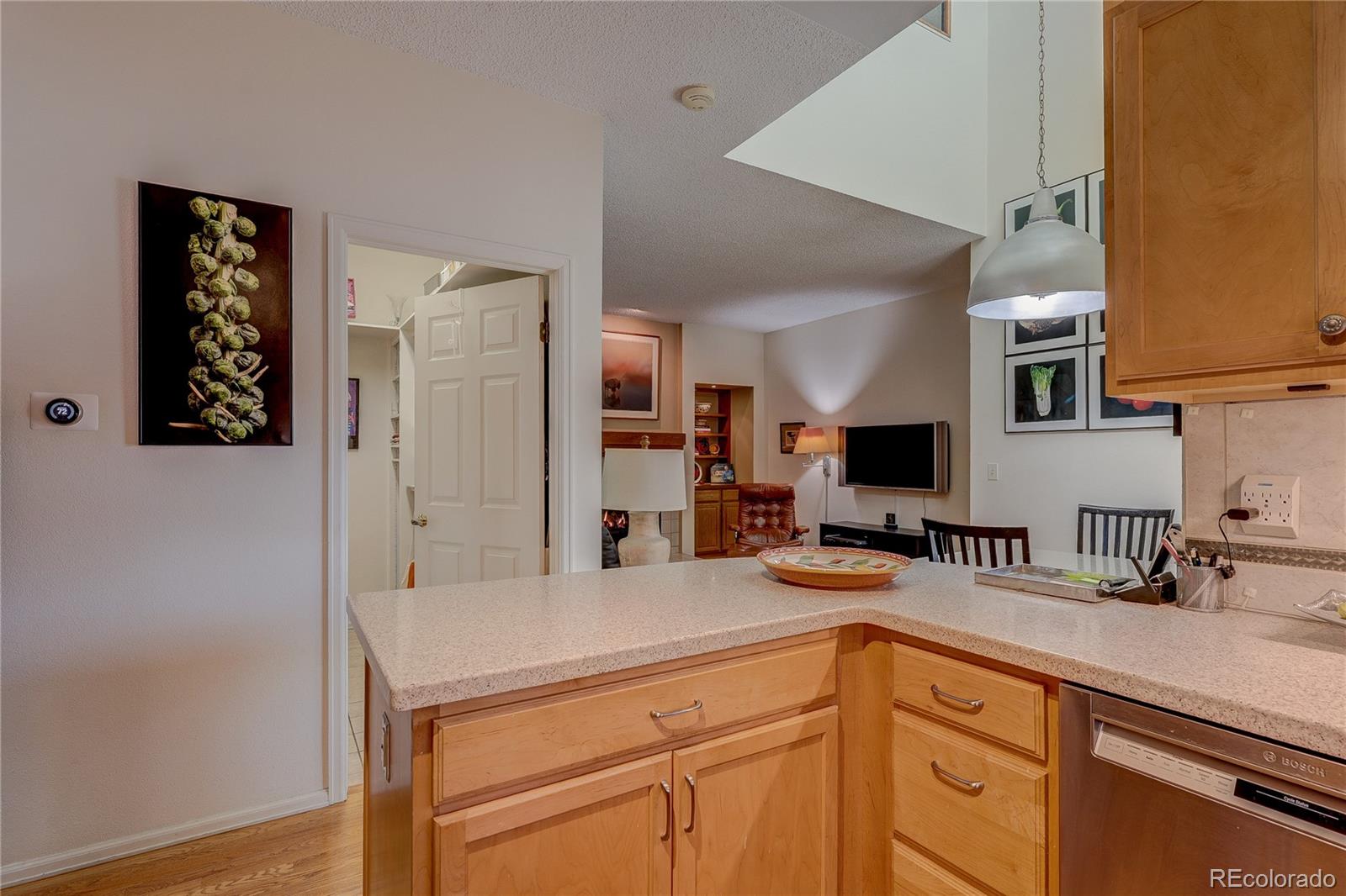 8849 Blue Mountain Place Highlands Ranch CO 80126