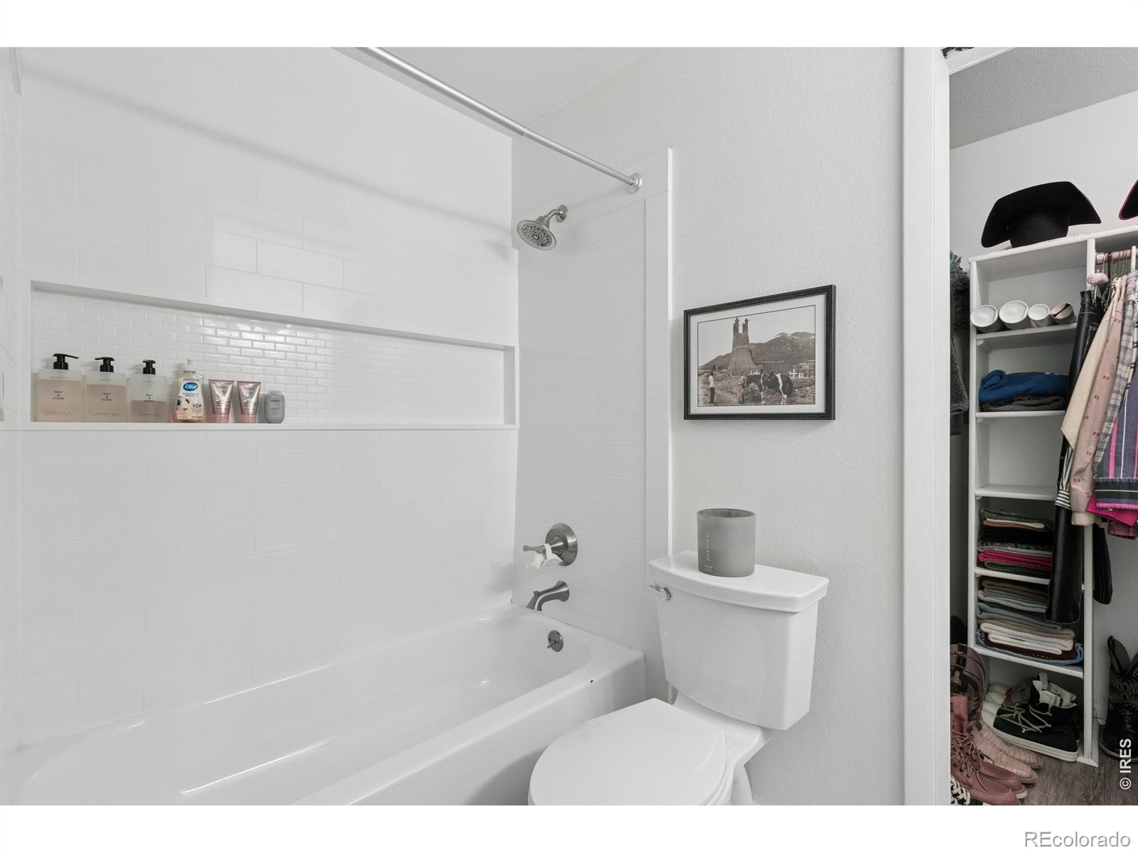 348 Collyer Street Longmont CO 80501