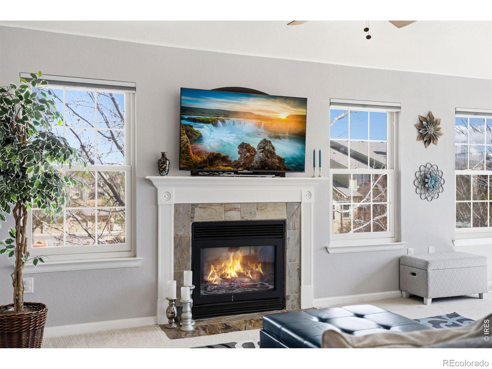 5620 Fossil Creek Parkway Fort Collins CO 80525