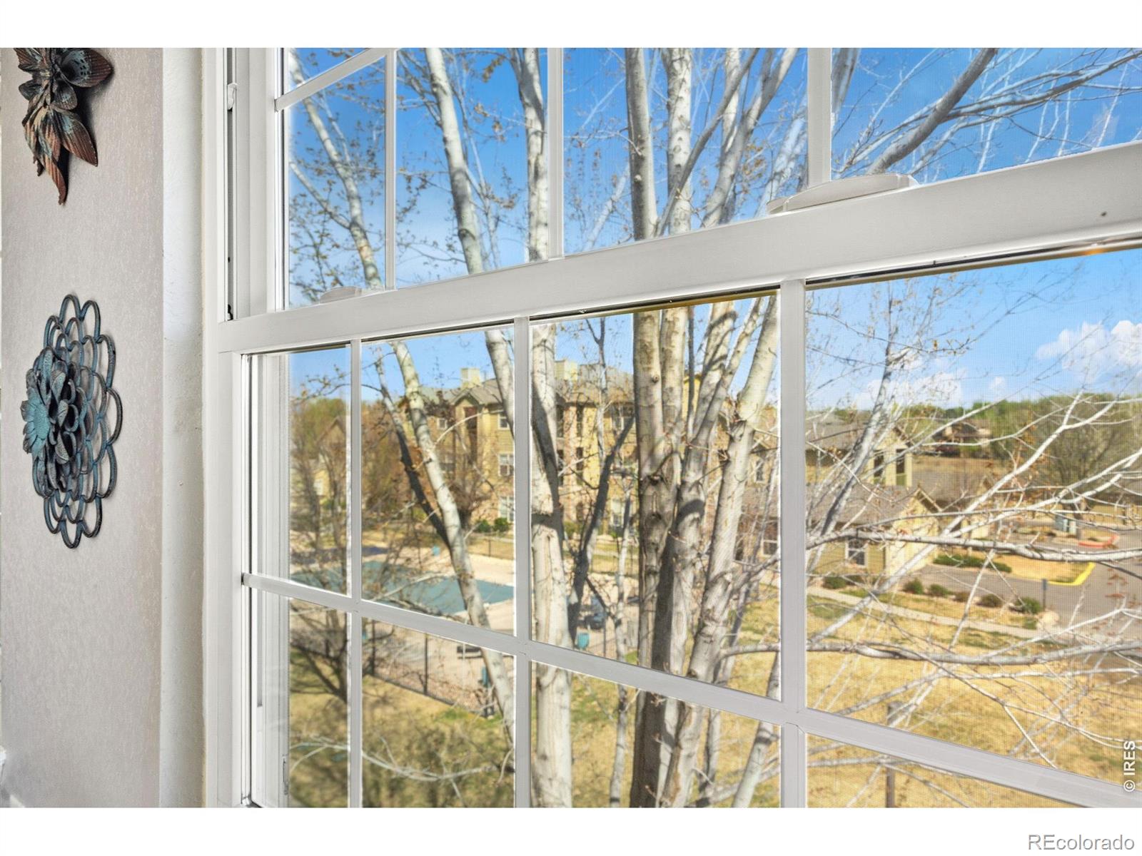 5620 Fossil Creek Parkway Fort Collins CO 80525