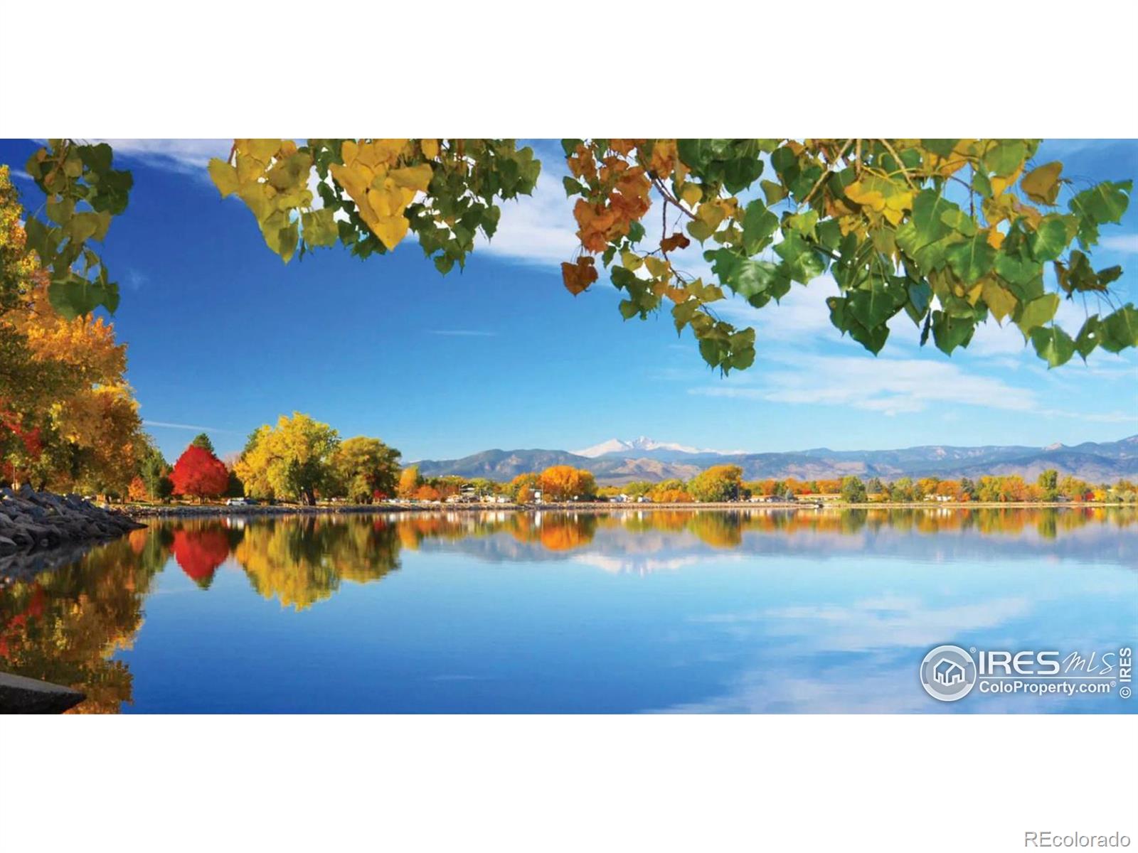 4174 South Park Drive Loveland CO 80538