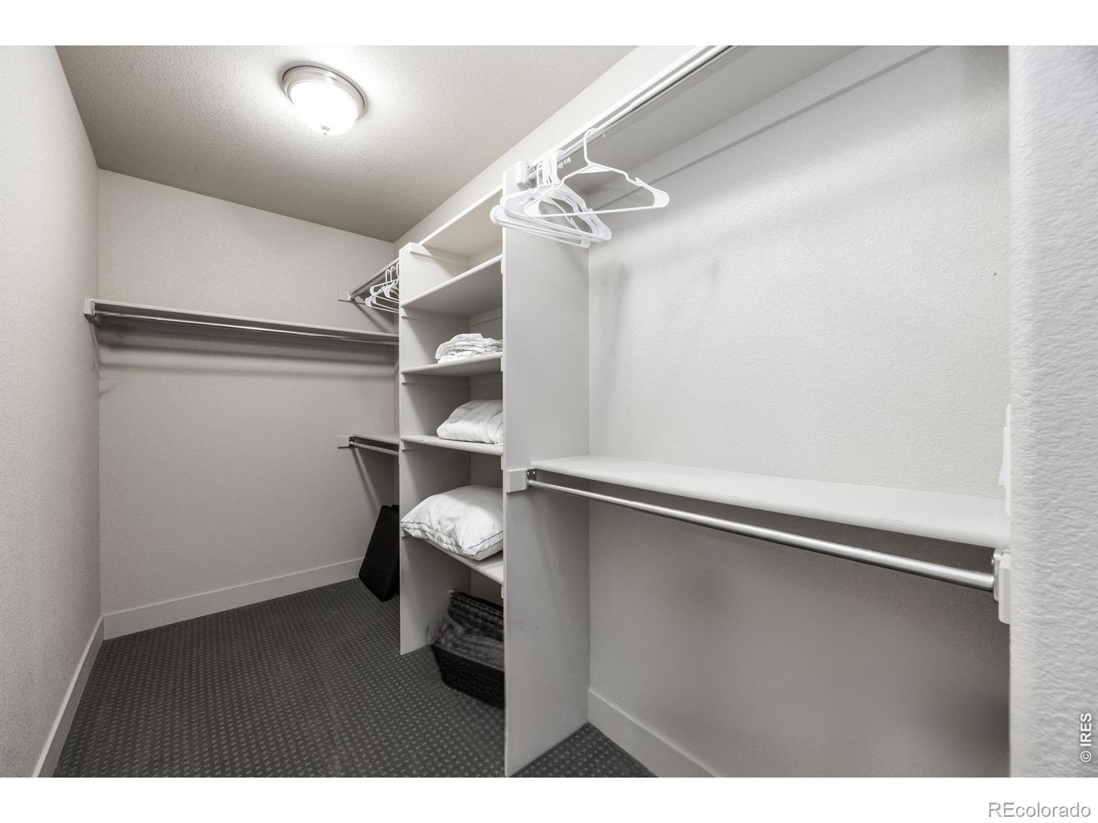 226 Osiander Street Fort Collins CO 80524