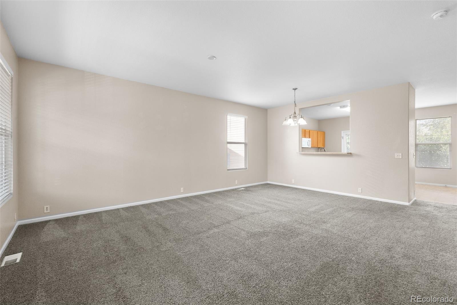 2739 Scotchbroom Point Colorado Springs CO 80910