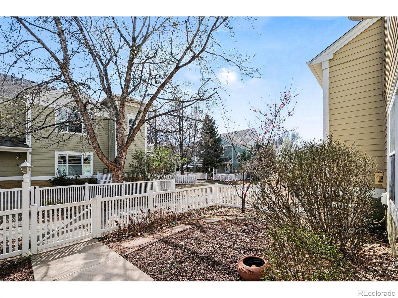 640 Gooseberry Drive Longmont CO 80503