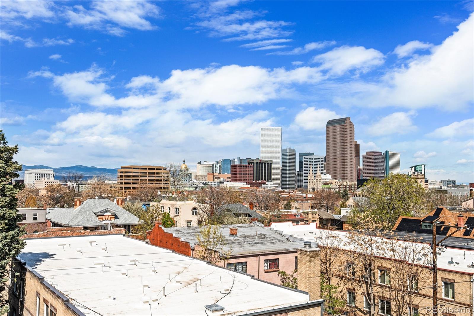 1233 N Ogden Street Denver CO 80218