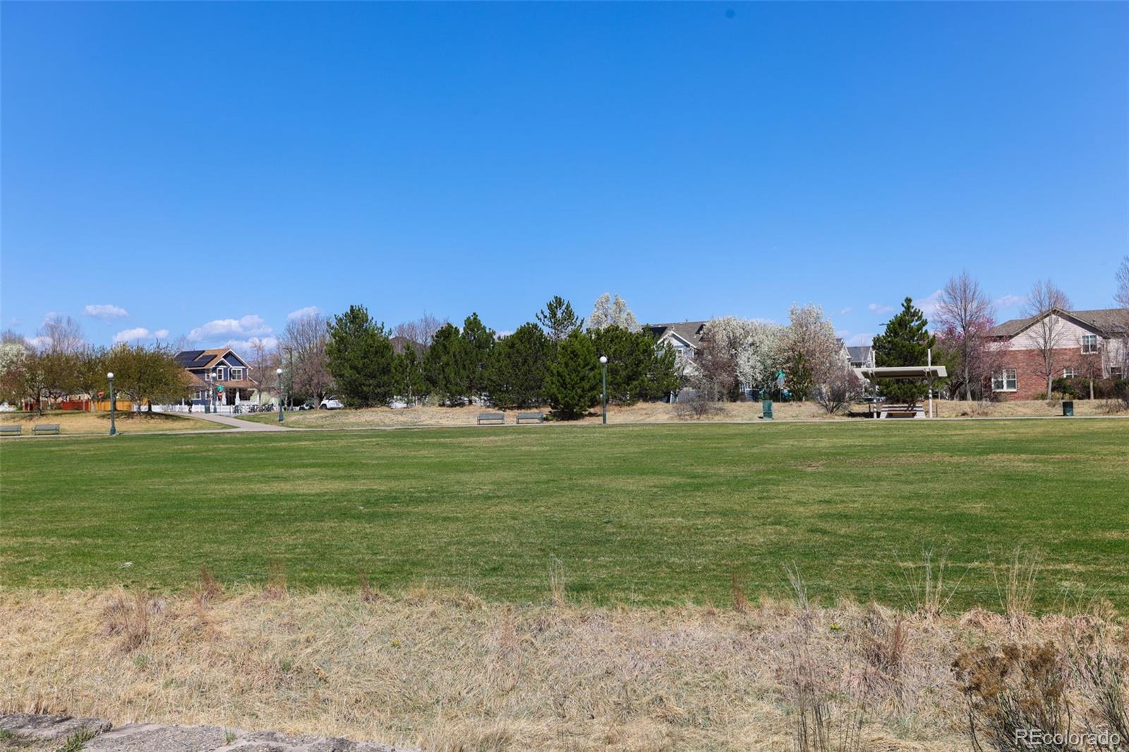 8266 E 24th Drive Denver CO 80238