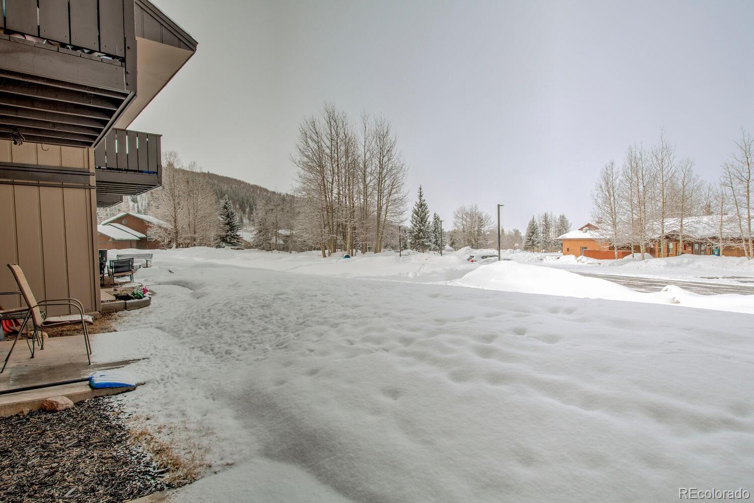 1133 Straight Creek Drive Dillon CO 80435