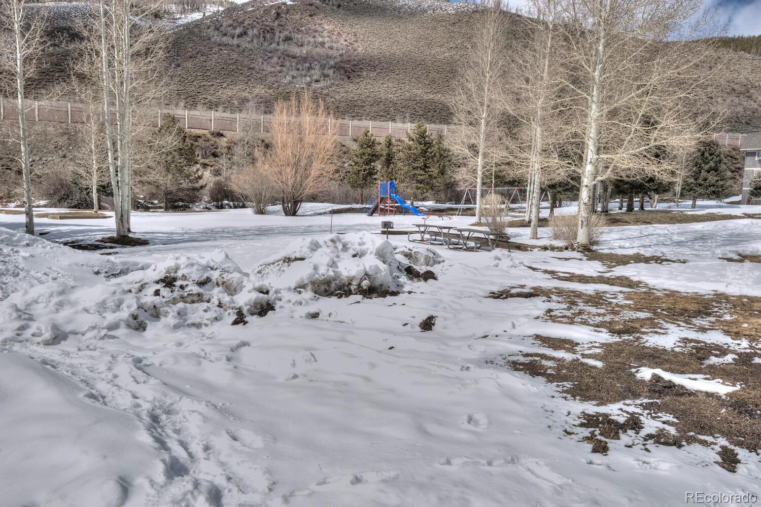 1133 Straight Creek Drive Dillon CO 80435
