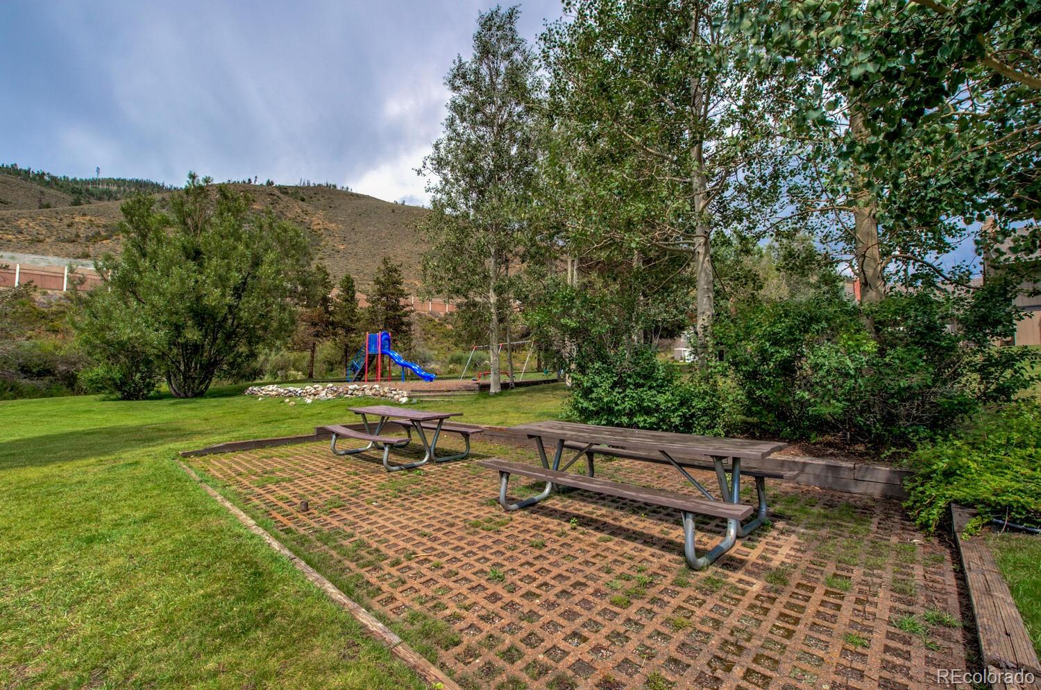 1133 Straight Creek Drive Dillon CO 80435
