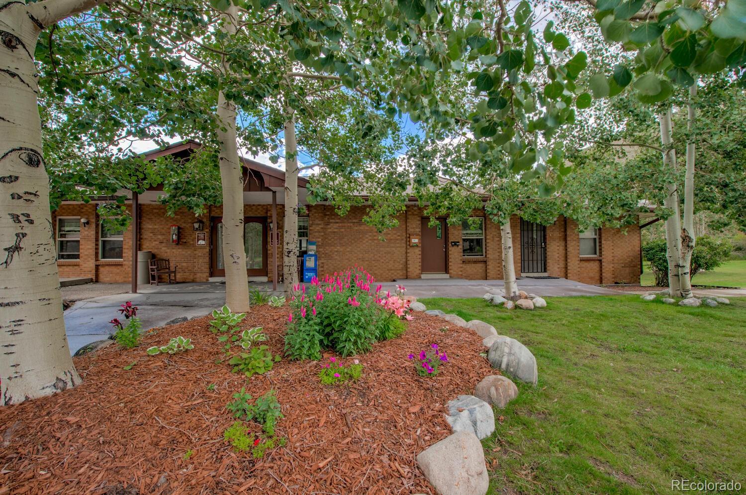 1133 Straight Creek Drive Dillon CO 80435