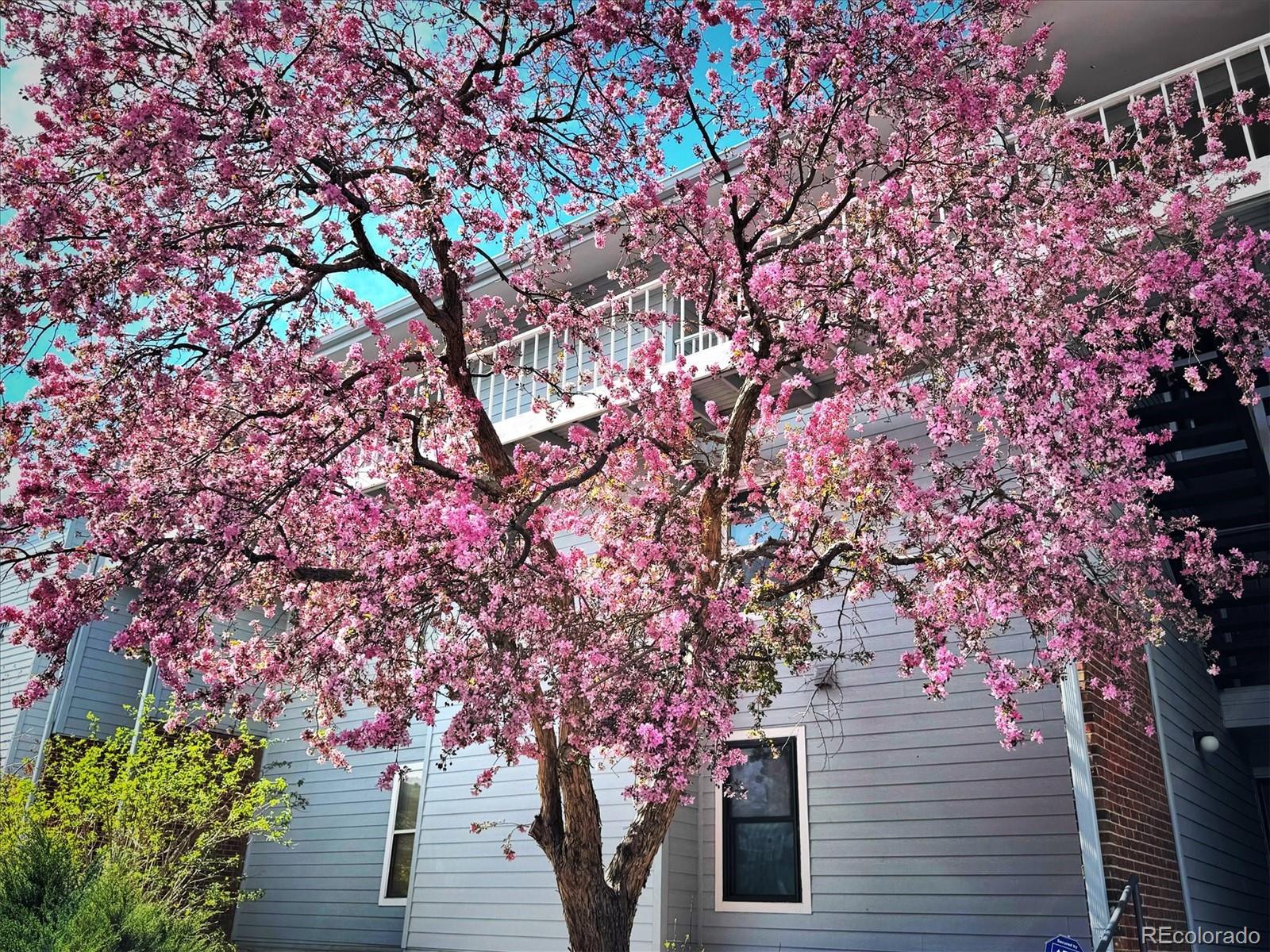 3121 S Tamarac Drive Denver CO 80231