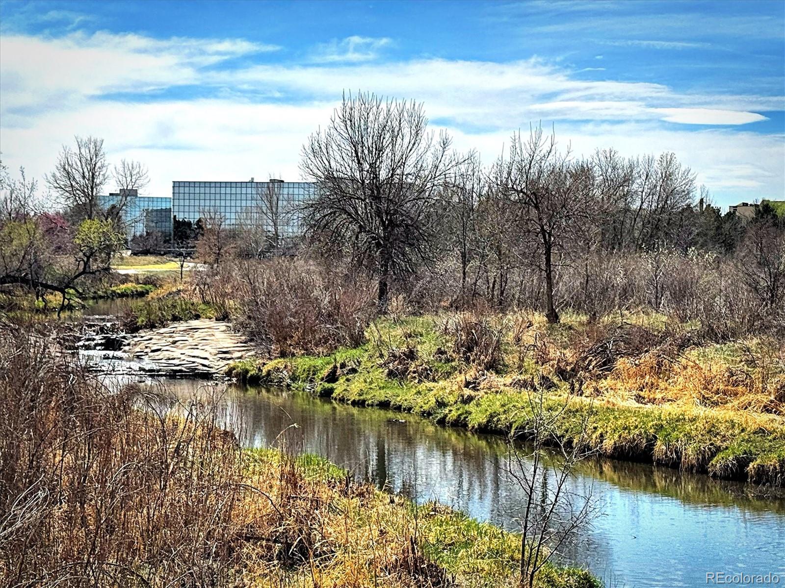 3121 S Tamarac Drive Denver CO 80231