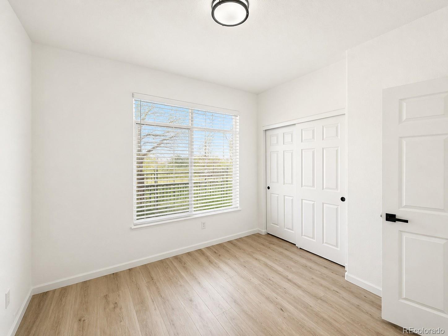 494 Black Feather Loop Castle Rock CO 80104