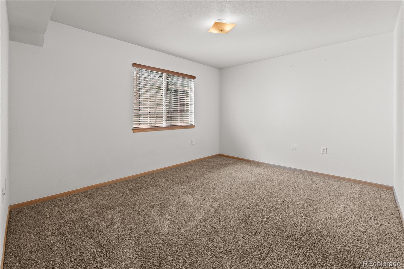 1221 University Avenue Fort Collins CO 80521