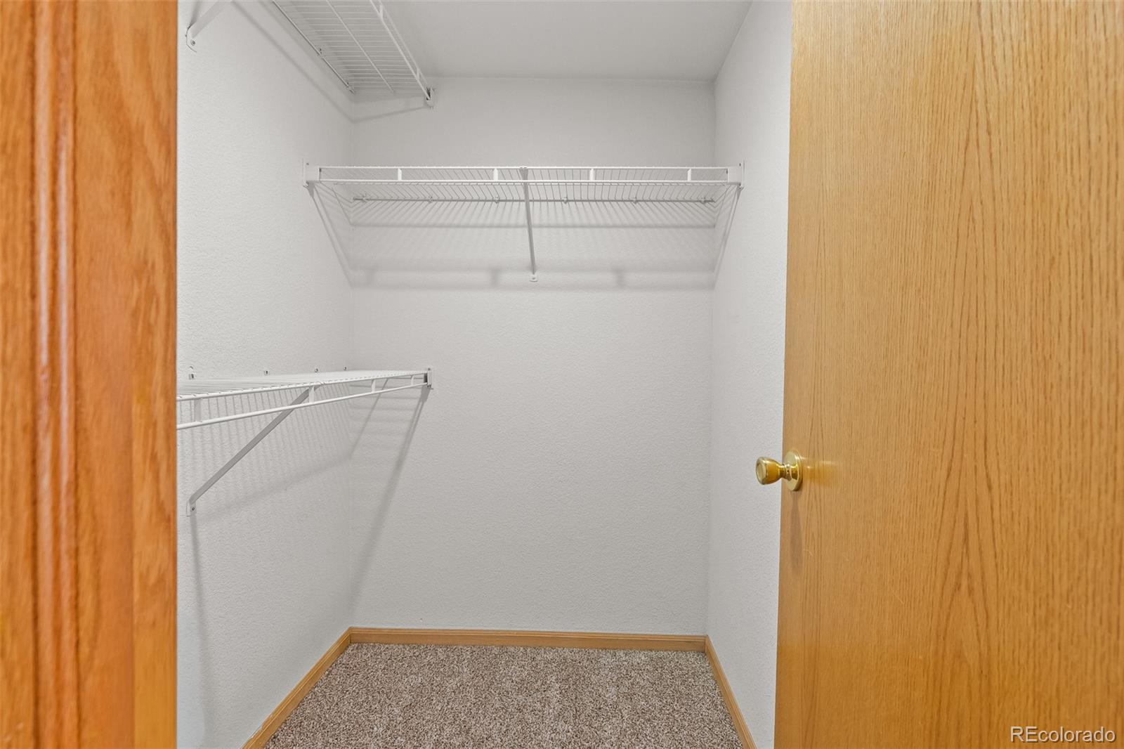 1221 University Avenue Fort Collins CO 80521