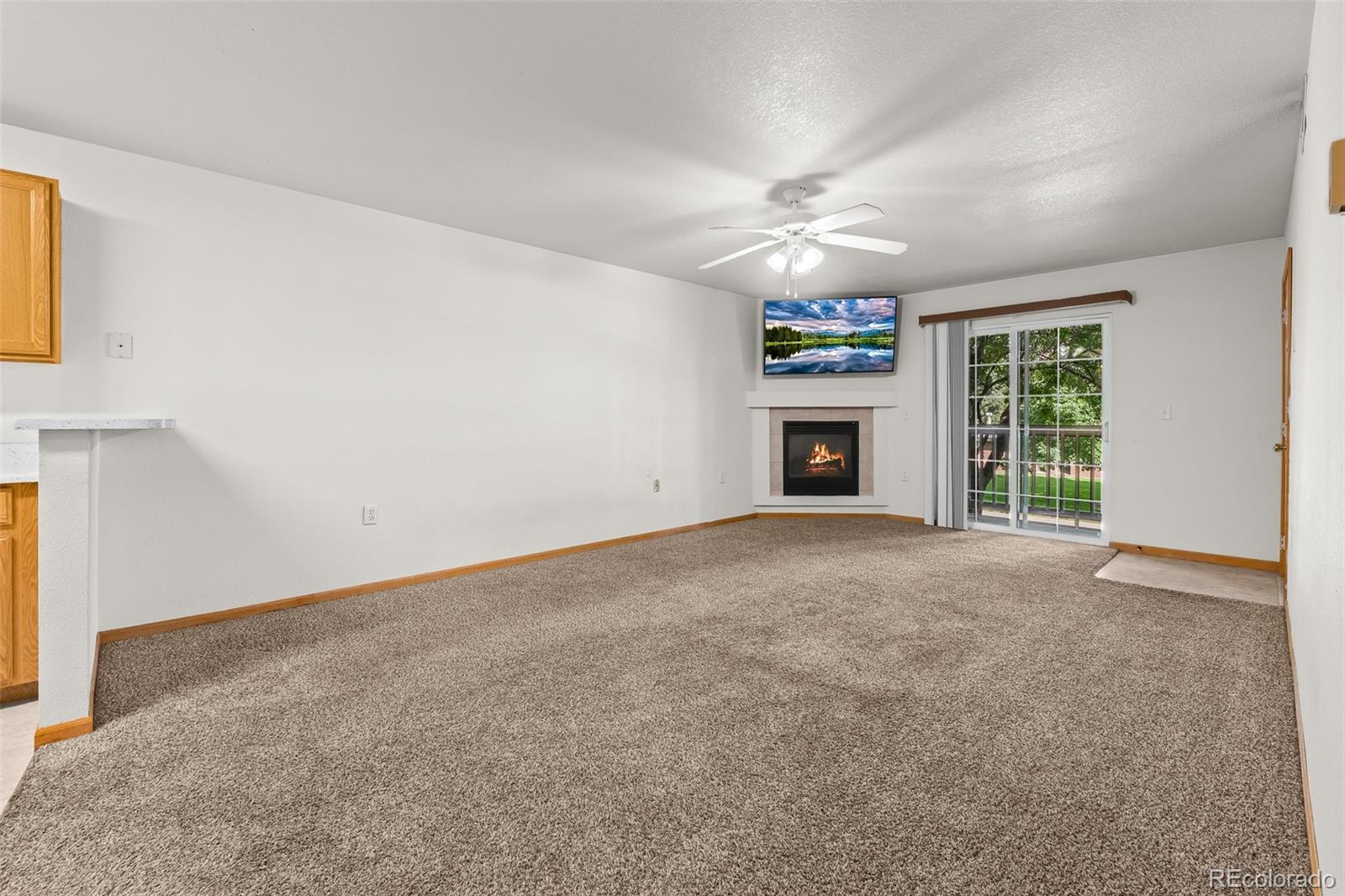 1221 University Avenue Fort Collins CO 80521