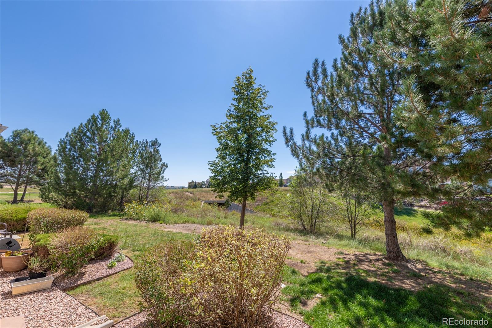 7740 Sandy Springs Point Fountain CO 80817