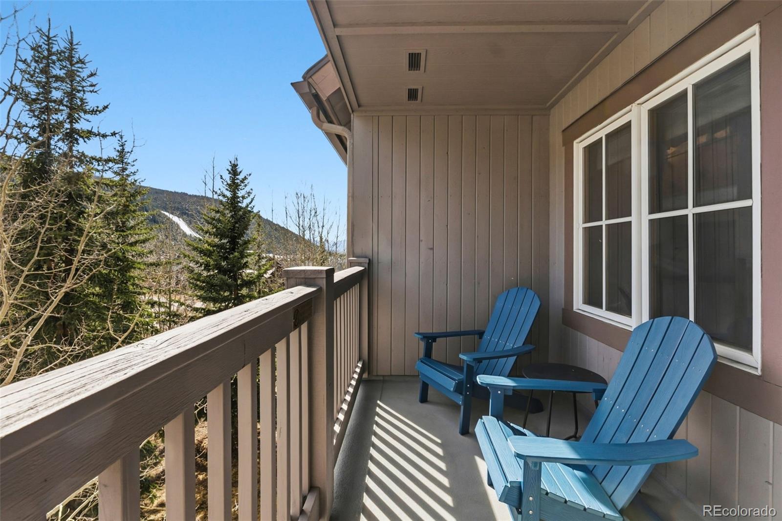 135 Dercum Drive Dillon CO 80435