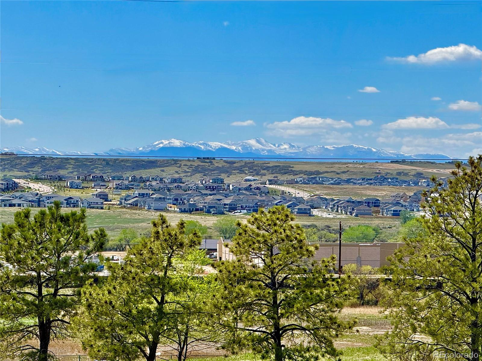 6537 Pinewood Drive Parker CO 80134