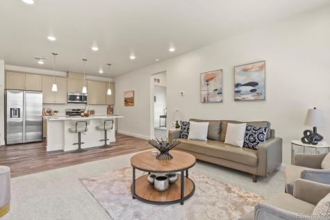 16841 Askins Loop Parker CO 80134
