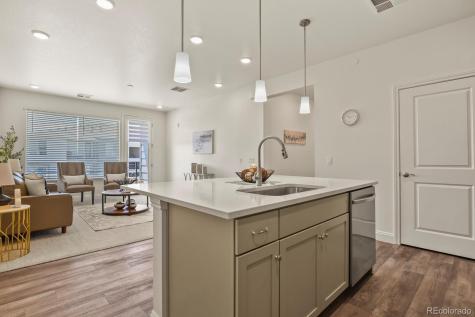 16841 Askins Loop Parker CO 80134