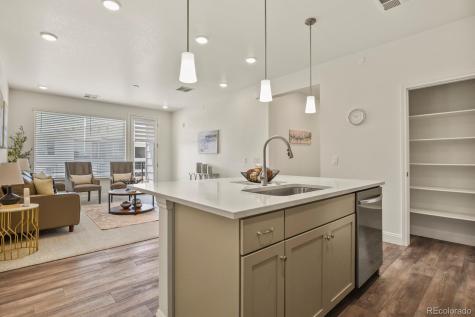 16841 Askins Loop Parker CO 80134
