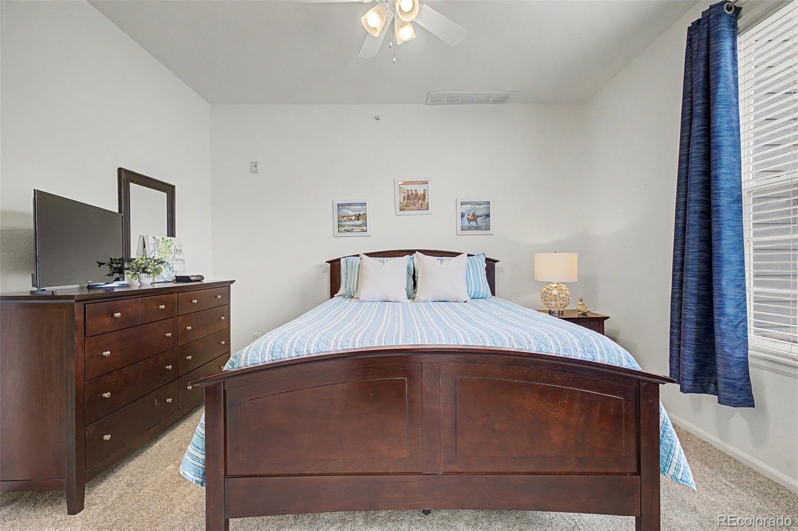 1574 Olympia Circle Castle Rock CO 80104