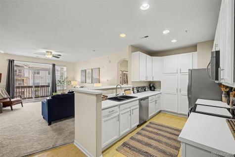 1574 Olympia Circle Castle Rock CO 80104