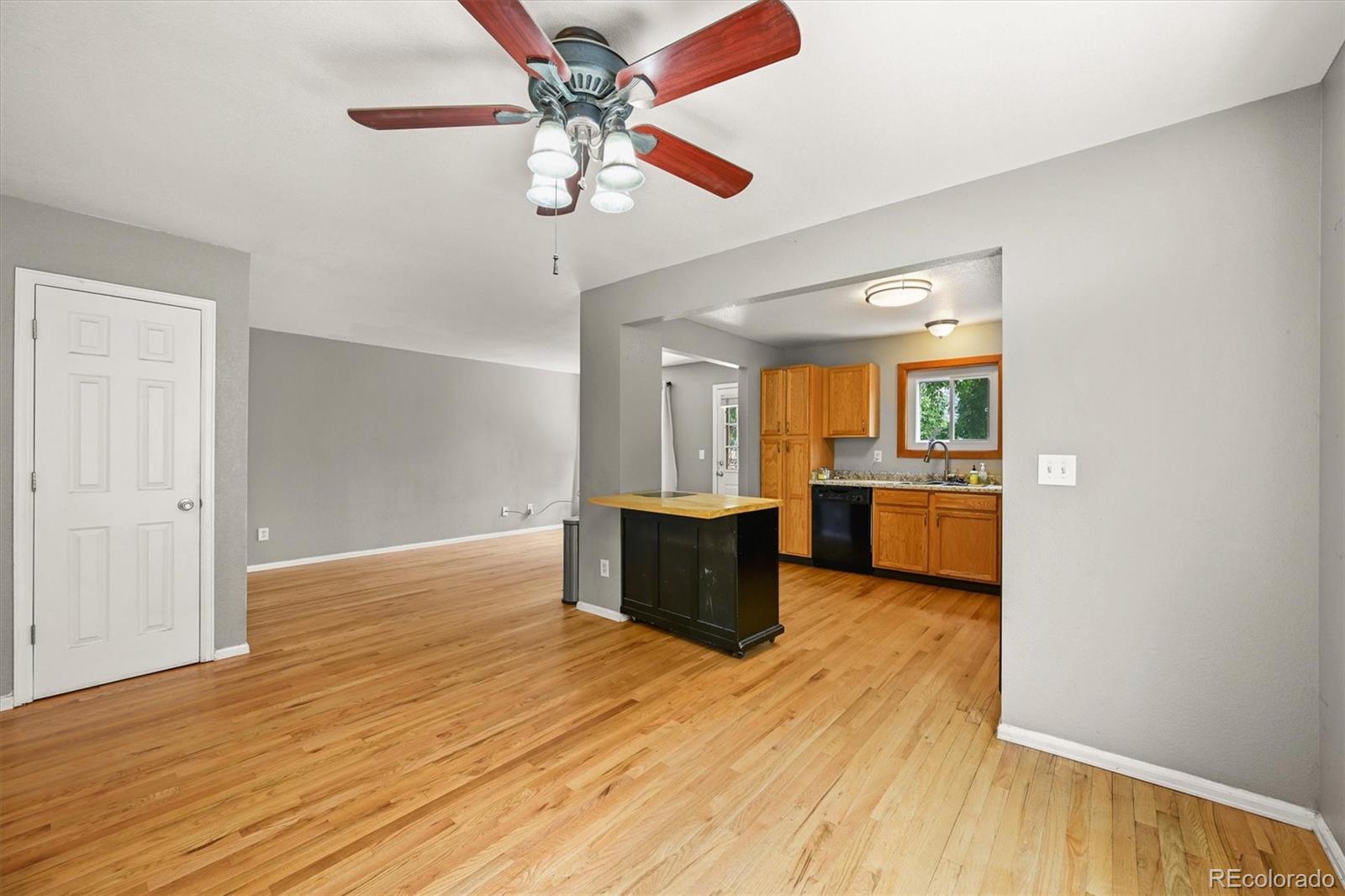 4452 Cornish Way Denver CO 80239
