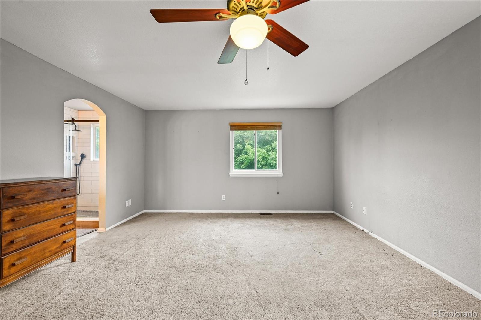 4452 Cornish Way Denver CO 80239