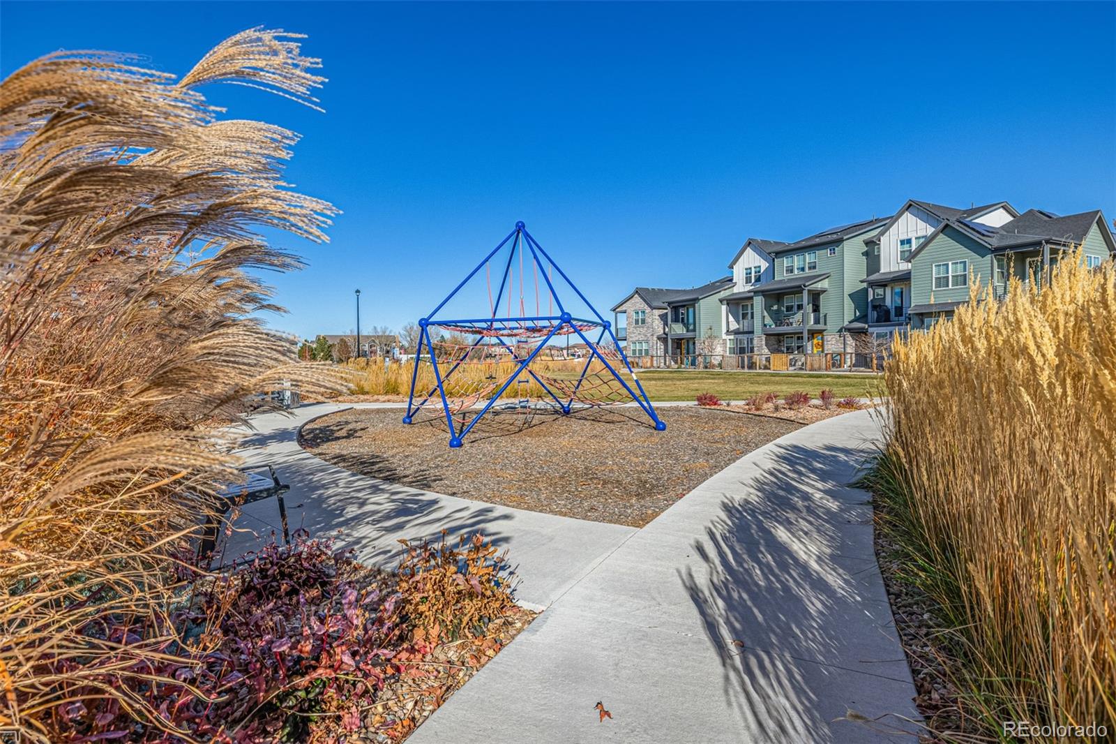 2899 E 103rd Drive Thornton CO 80229
