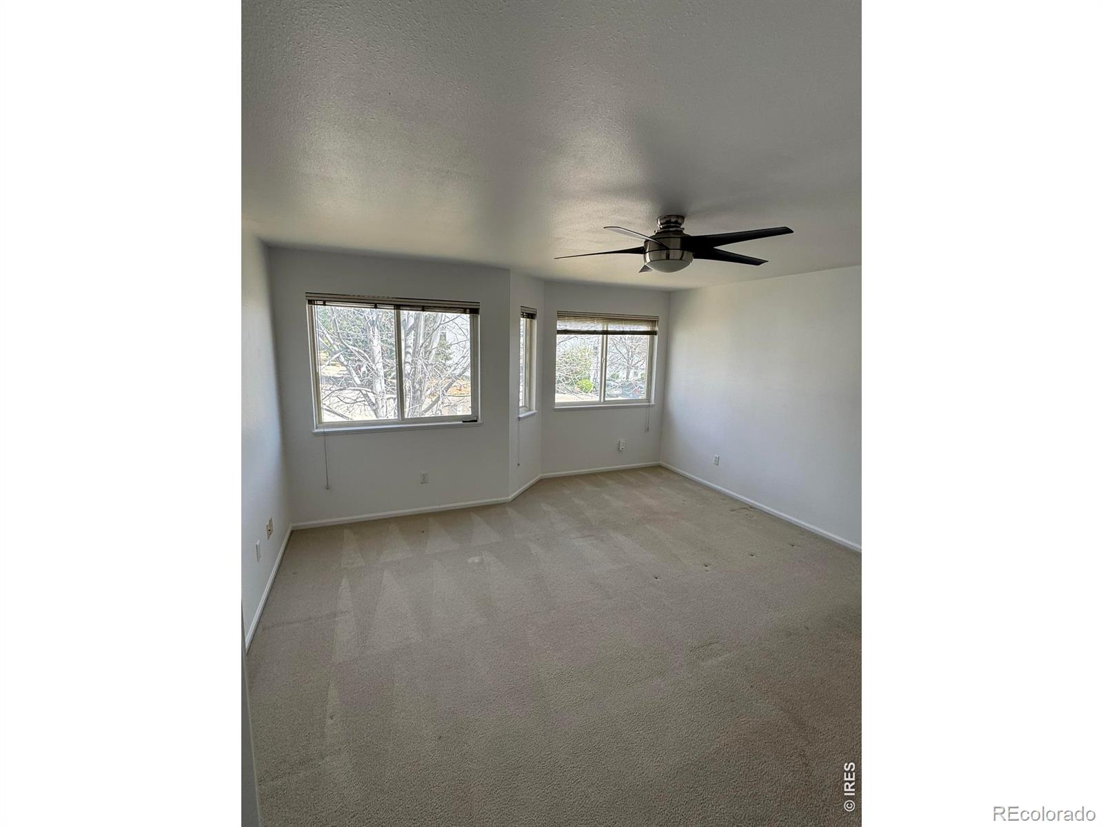 2155 Meadow Court Longmont CO 80501