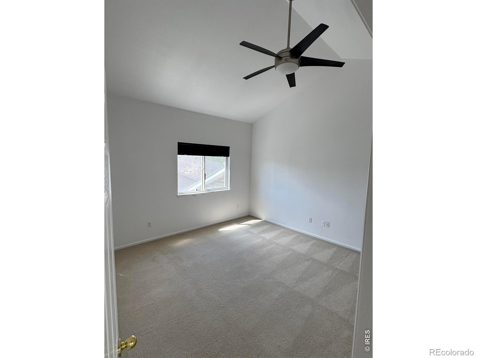 2155 Meadow Court Longmont CO 80501