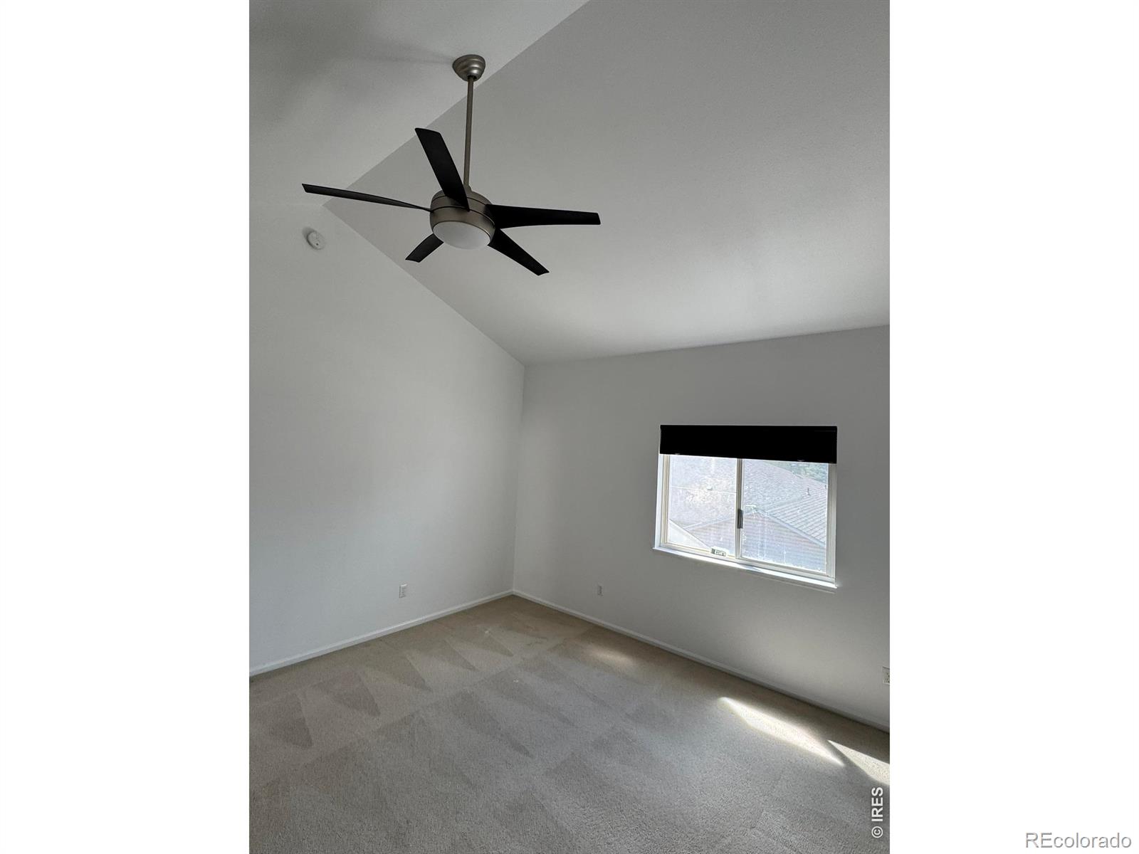 2155 Meadow Court Longmont CO 80501