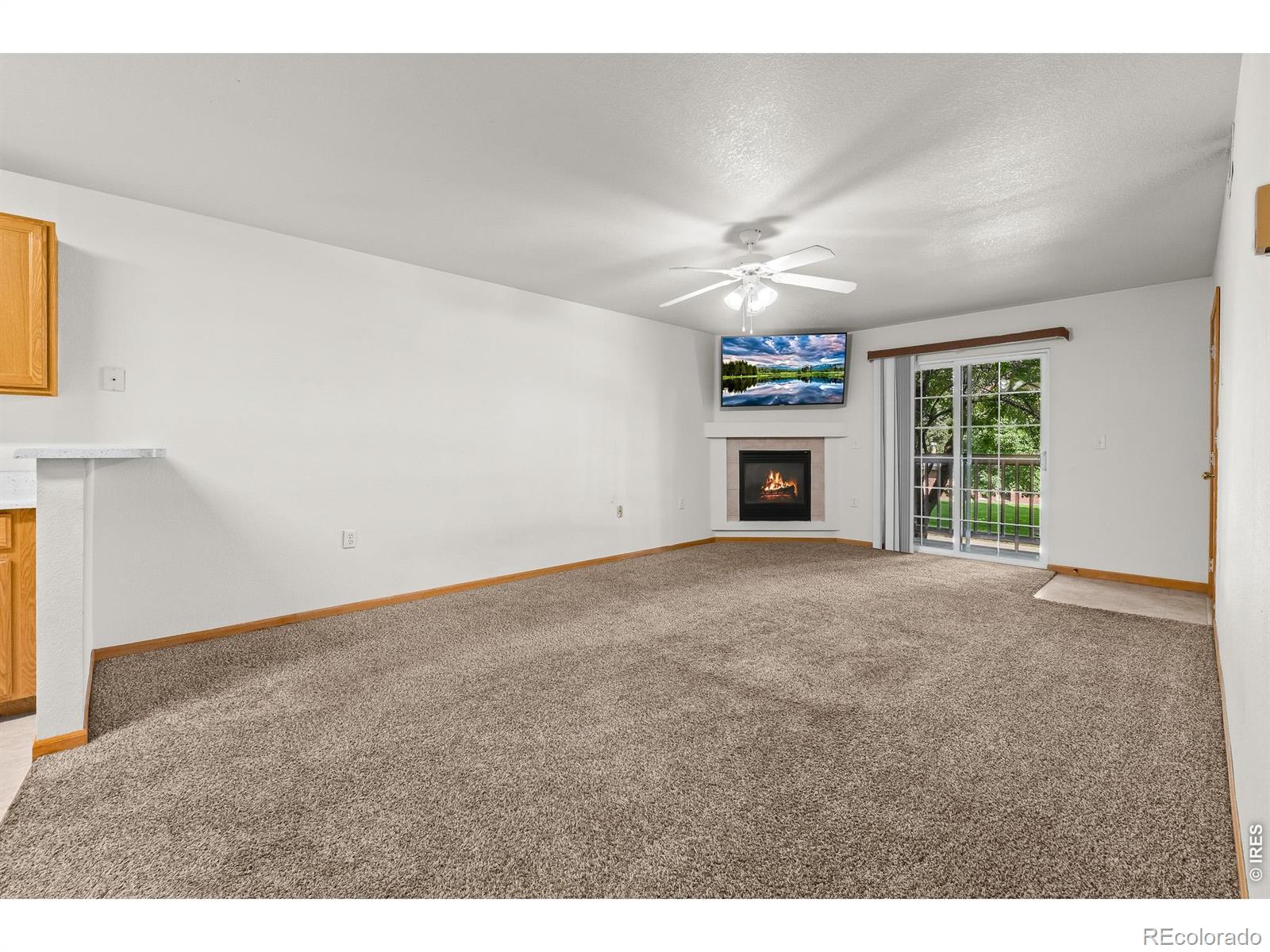 1221 University Avenue Fort Collins CO 80521