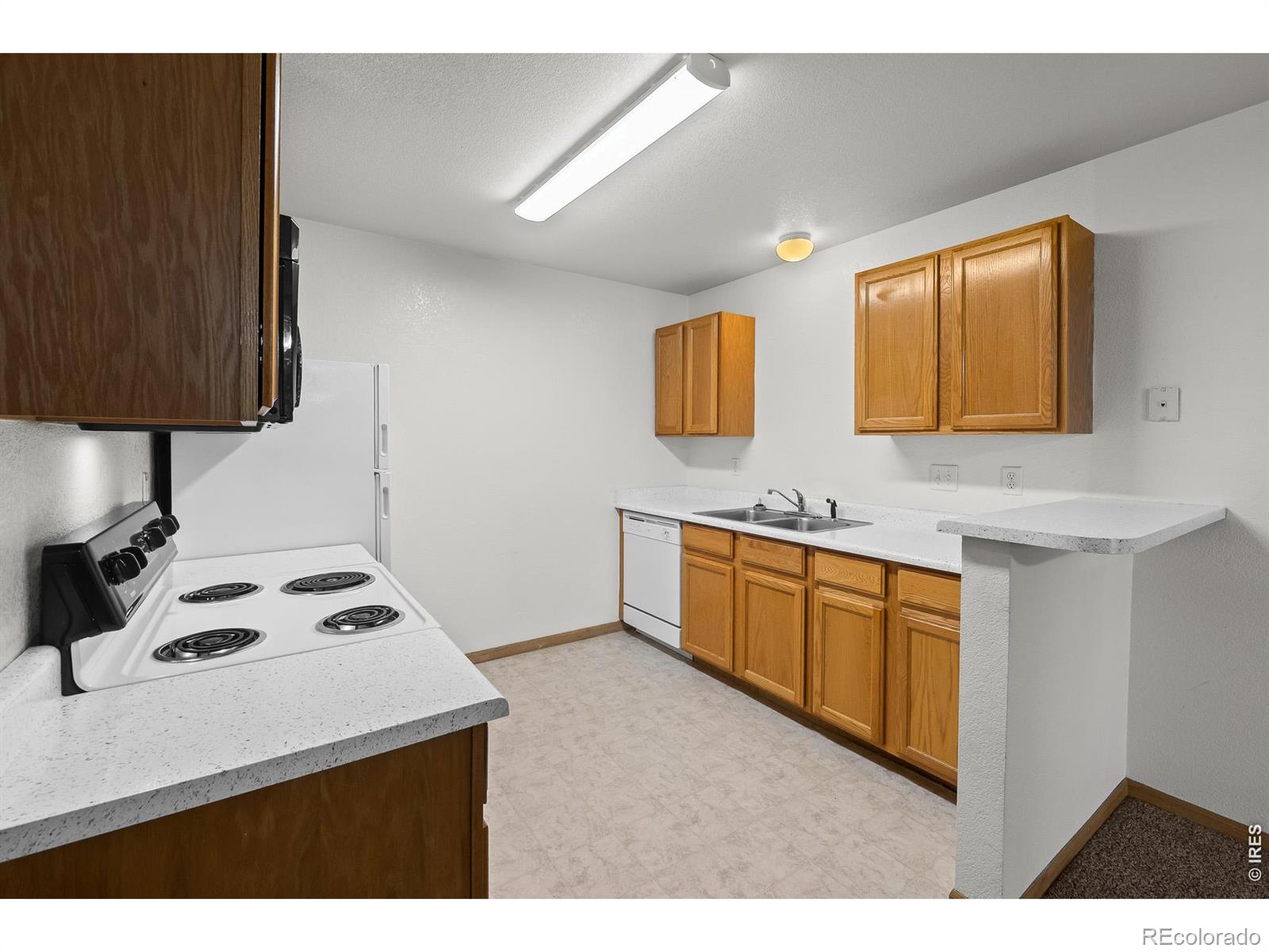 1221 University Avenue Fort Collins CO 80521