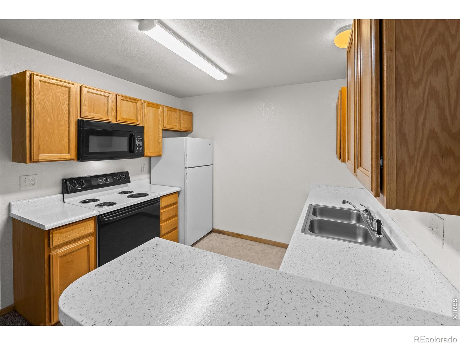 1221 University Avenue Fort Collins CO 80521