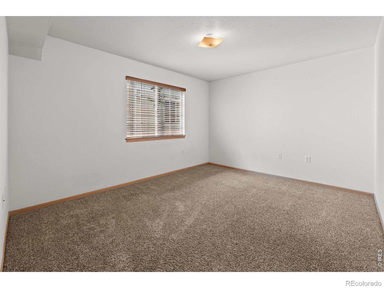 1221 University Avenue Fort Collins CO 80521