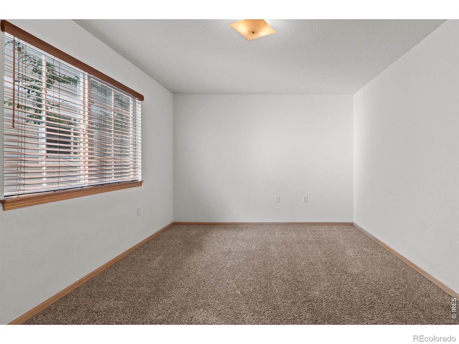 1221 University Avenue Fort Collins CO 80521