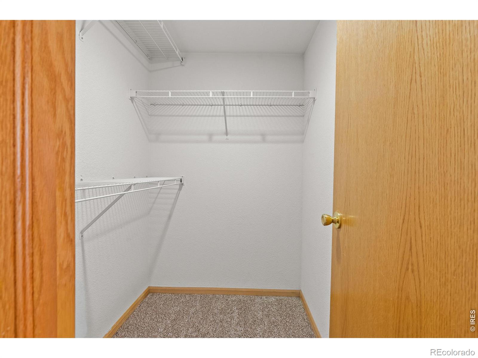 1221 University Avenue Fort Collins CO 80521