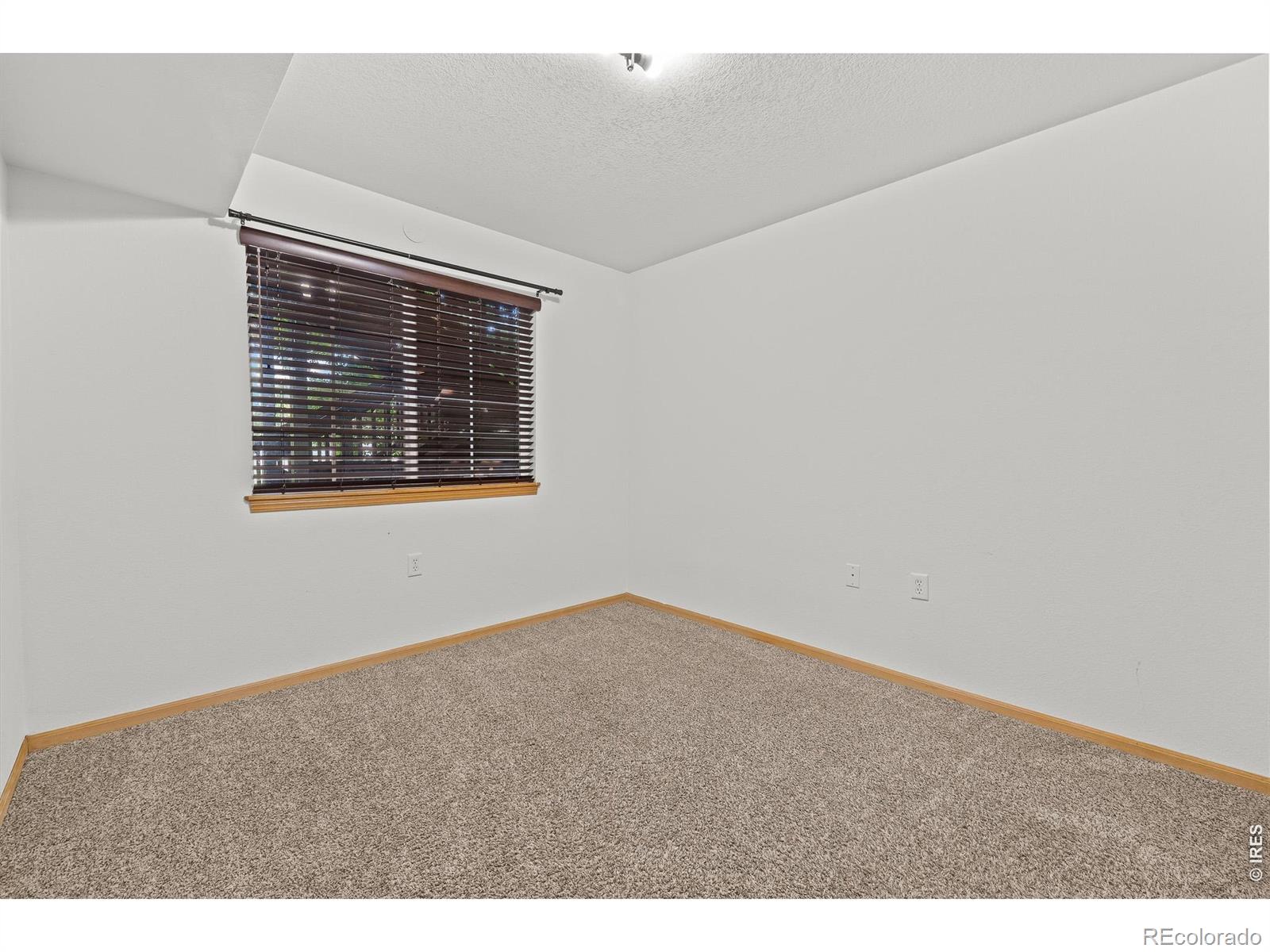 1221 University Avenue Fort Collins CO 80521